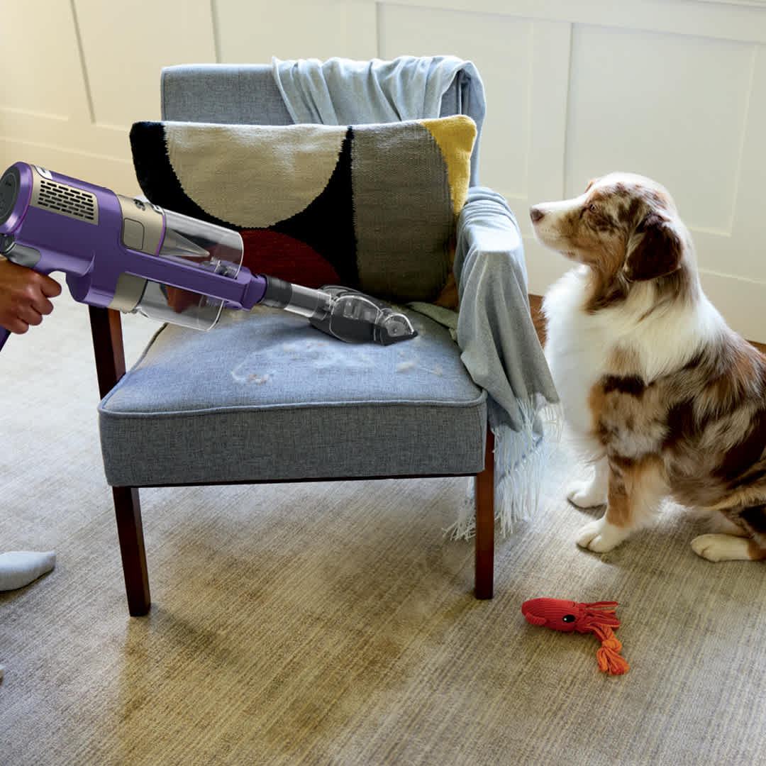 Shark® POWERDETECT™ Ultra-Light Corded Stick Vacuum Corded Shark® POWERDETECT™ Ultra-Light Corded Stick Vacuum Corded